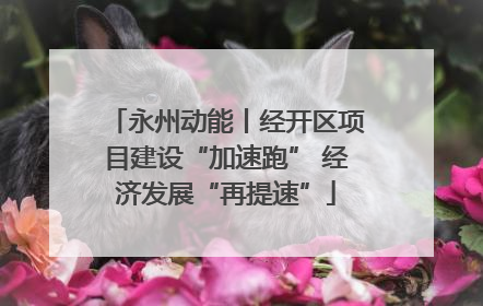 永州动能丨经开区项目建设“加速跑” 经济发展“再提速”