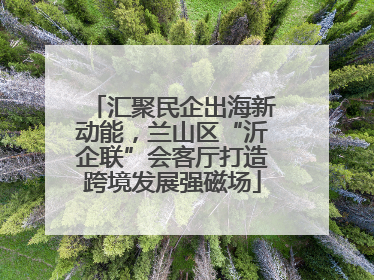 汇聚民企出海新动能，兰山区“沂企联”会客厅打造跨境发展强磁场