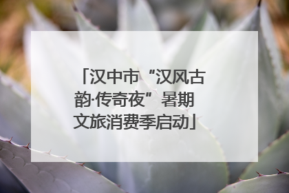 汉中市“汉风古韵·传奇夜”暑期文旅消费季启动