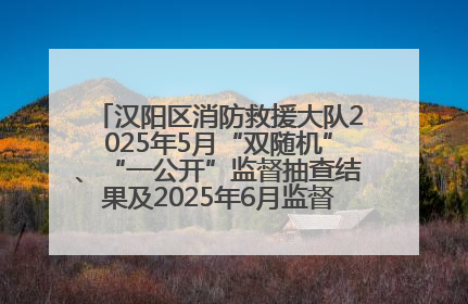 汉阳区消防救援大队2025年5月“双随机”、“一公开”监督抽查结果及2025年6月监督抽查任务公示