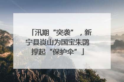 汛期“突袭”，新宁县崀山为国宝朱鹮撑起“保护伞”