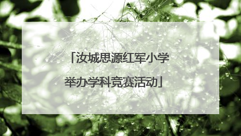 汝城思源红军小学举办学科竞赛活动