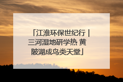 江淮环保世纪行｜三河湿地研学热 黄陂湖成鸟类天堂