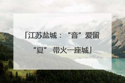 江苏盐城：“音”爱留“夏” 带火一座城