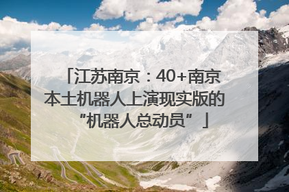 江苏南京：40+南京本土机器人上演现实版的“机器人总动员”