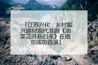 江苏兴化：乡村振兴题材现代淮剧《油菜花开燕归来》在南京成功首演