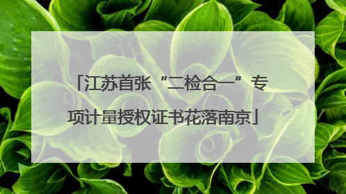 江苏首张“二检合一”专项计量授权证书花落南京