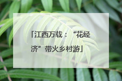 江西万载：“花经济”带火乡村游