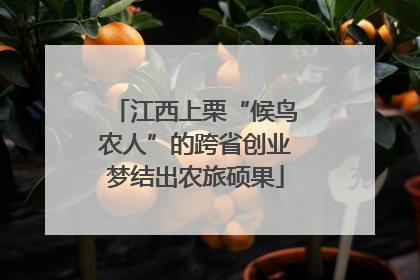 江西上栗“候鸟农人”的跨省创业梦结出农旅硕果