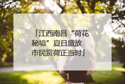 江西南昌“荷花秘境”夏日盛放 市民赏荷正当时