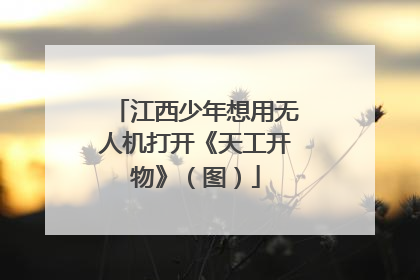 江西少年想用无人机打开《天工开物》（图）