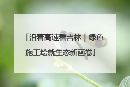 沿着高速看吉林｜绿色施工绘就生态新画卷