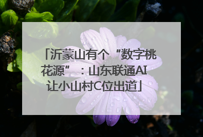 沂蒙山有个“数字桃花源”：山东联通AI让小山村C位出道