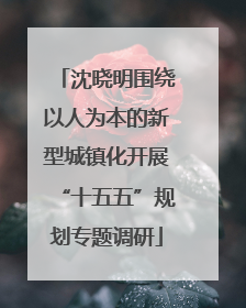 沈晓明围绕以人为本的新型城镇化开展“十五五”规划专题调研