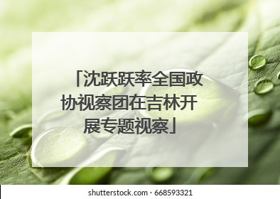 沈跃跃率全国政协视察团在吉林开展专题视察