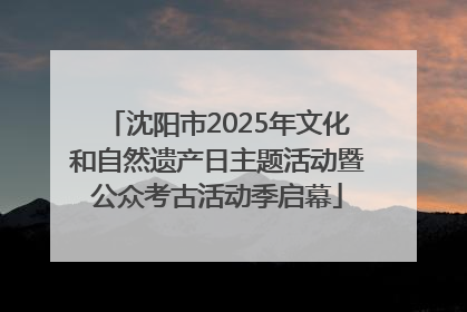 沈阳市2025年文化和自然遗产日主题活动暨公众考古活动季启幕