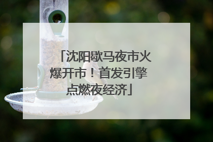 沈阳歇马夜市火爆开市！首发引擎点燃夜经济