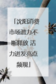 沈阳消费市场潜力不断释放 活力迸发亮点频现
