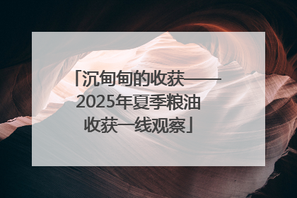 沉甸甸的收获——2025年夏季粮油收获一线观察