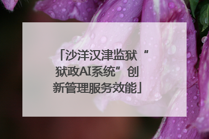 沙洋汉津监狱“狱政AI系统”创新管理服务效能