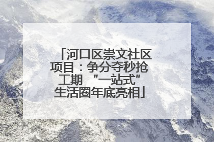 河口区崇文社区项目：争分夺秒抢工期 “一站式”生活圈年底亮相