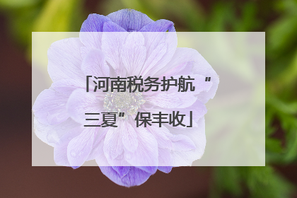 河南税务护航“三夏”保丰收