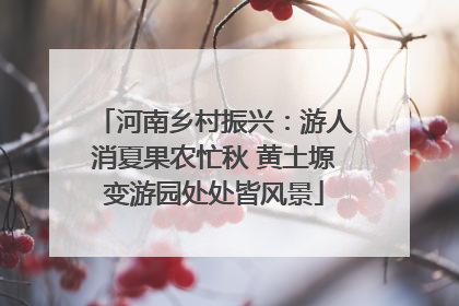 河南乡村振兴：游人消夏果农忙秋 黄土塬变游园处处皆风景