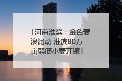 河南淮滨：金色麦浪涌动 淮滨80万亩弱筋小麦开镰