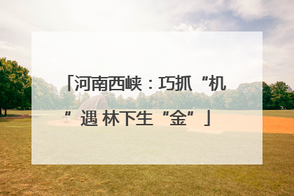 河南西峡：巧抓“机”遇 林下生“金”