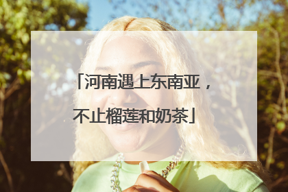 河南遇上东南亚，不止榴莲和奶茶