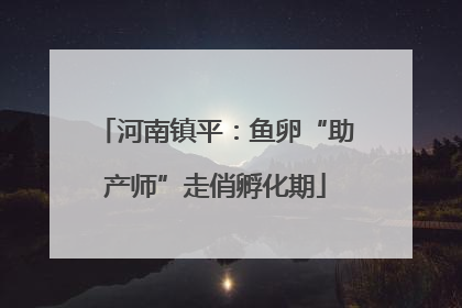 河南镇平：鱼卵“助产师”走俏孵化期