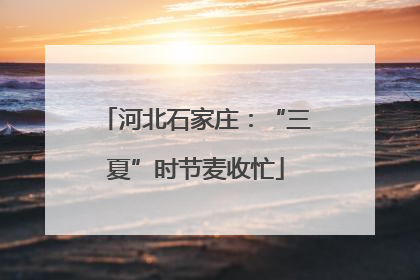 河北石家庄：“三夏”时节麦收忙