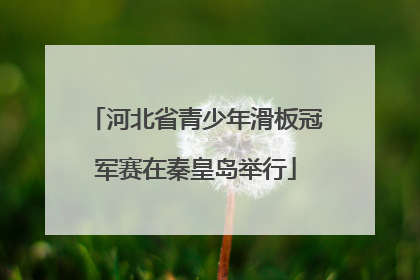 河北省青少年滑板冠军赛在秦皇岛举行