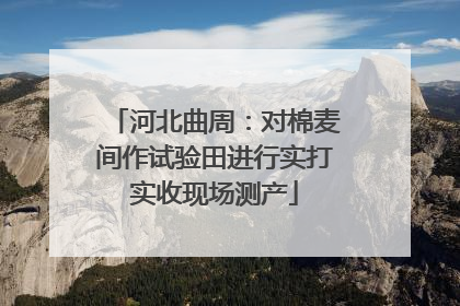 河北曲周：对棉麦间作试验田进行实打实收现场测产