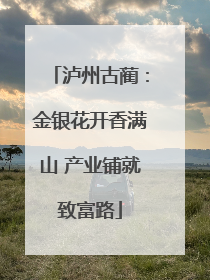 泸州古蔺：金银花开香满山 产业铺就致富路