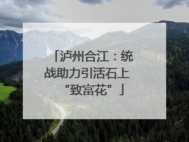 泸州合江：统战助力引活石上“致富花”