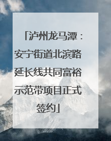 泸州龙马潭：安宁街道北滨路延长线共同富裕示范带项目正式签约