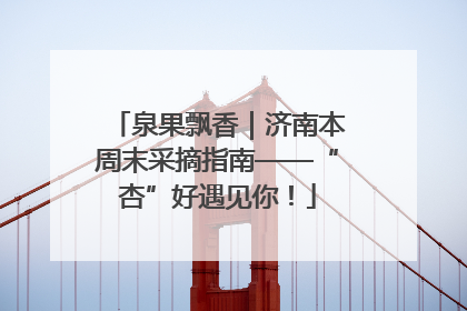 泉果飘香｜济南本周末采摘指南——“杏”好遇见你！