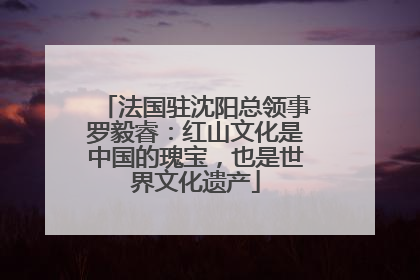 法国驻沈阳总领事罗毅睿：红山文化是中国的瑰宝，也是世界文化遗产