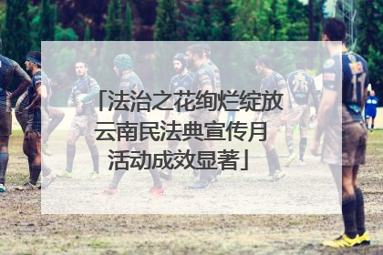 法治之花绚烂绽放 云南民法典宣传月活动成效显著