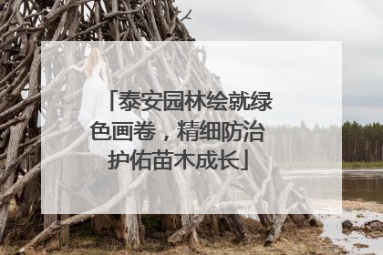 泰安园林绘就绿色画卷，精细防治护佑苗木成长
