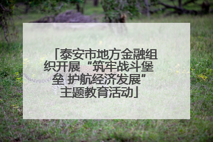 泰安市地方金融组织开展“筑牢战斗堡垒 护航经济发展”主题教育活动