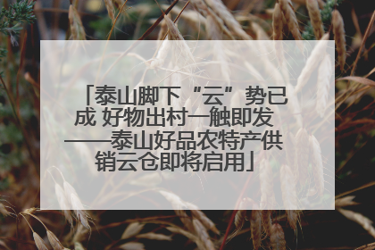 泰山脚下“云”势已成 好物出村一触即发——泰山好品农特产供销云仓即将启用