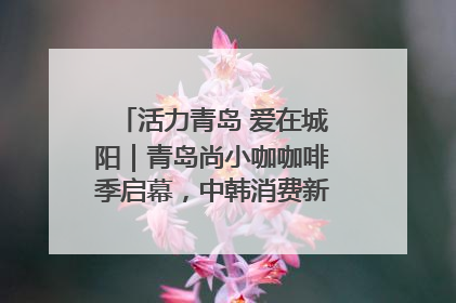 活力青岛 爱在城阳｜青岛尚小咖咖啡季启幕，中韩消费新场景点燃夏日热情