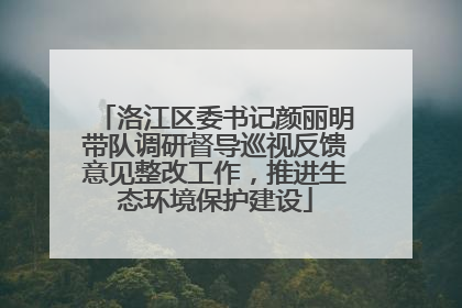 洛江区委书记颜丽明带队调研督导巡视反馈意见整改工作，推进生态环境保护建设