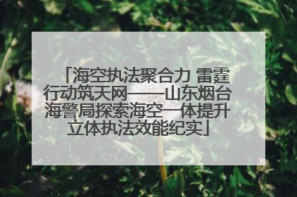 海空执法聚合力 雷霆行动筑天网——山东烟台海警局探索海空一体提升立体执法效能纪实