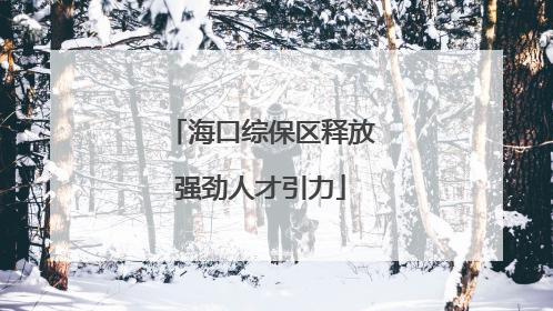 海口综保区释放强劲人才引力