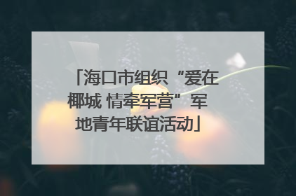 海口市组织“爱在椰城 情牵军营”军地青年联谊活动
