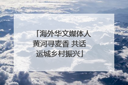 海外华文媒体人黄河寻麦香 共话运城乡村振兴