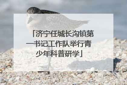 济宁任城长沟镇第一书记工作队举行青少年科普研学